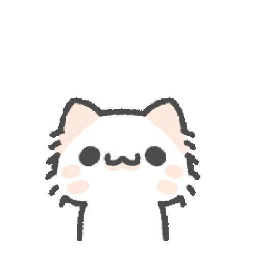 Cute cat 23