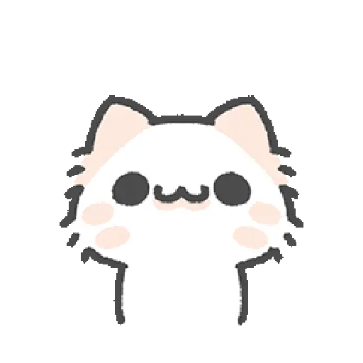 Cute cat 22