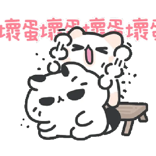 Cute cat 21