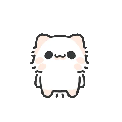 Cute cat 20