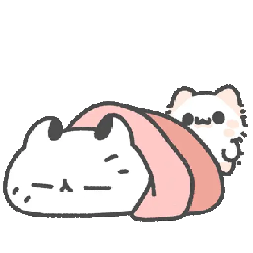 Cute cat 18