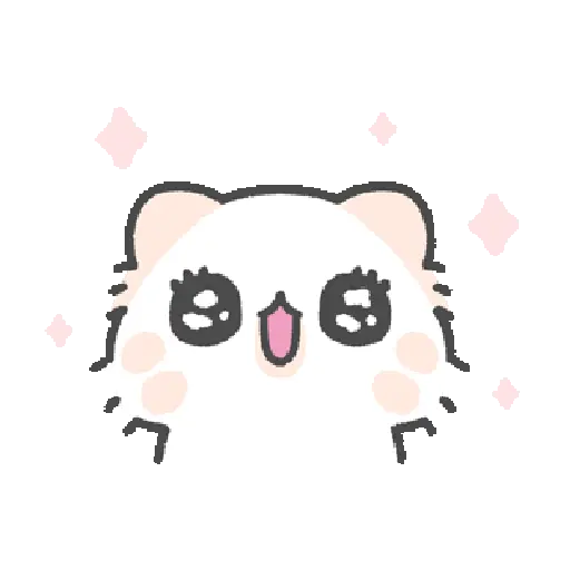 Cute cat 17