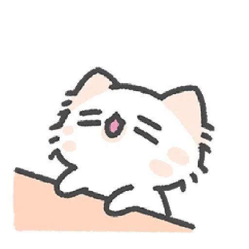 Cute cat 16