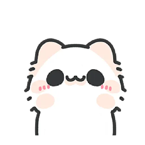 Cute cat 15