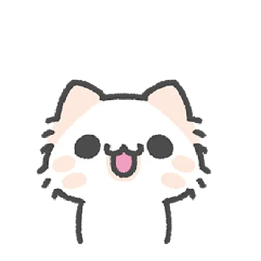 Cute cat 14