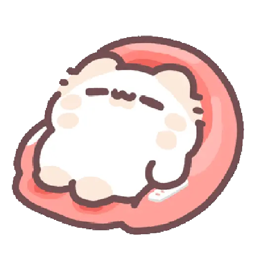 Cute cat 13