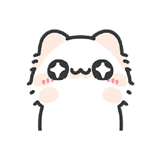 Cute cat 10