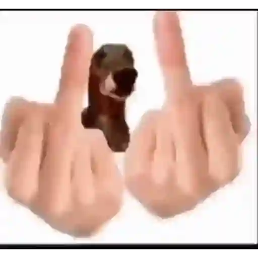 Random memes animated 8 19