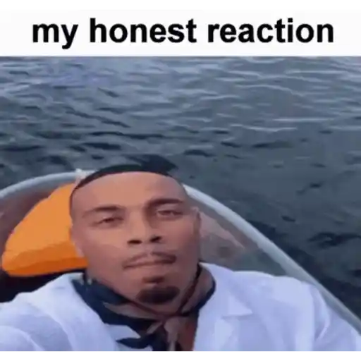 Random memes animated 8 1
