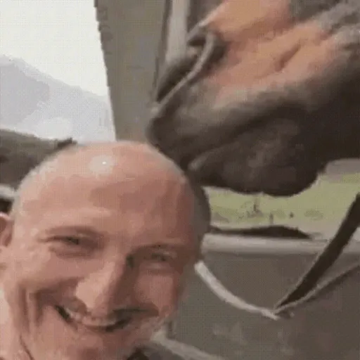 Random memes animated 8 13