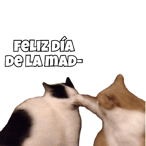 Día de la madre🌹un pack raro😶 2