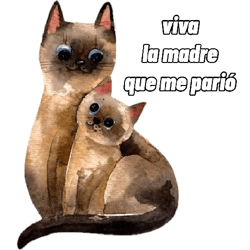 Día de la madre🌹un pack raro😶 19