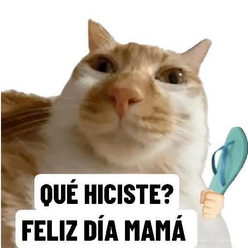 Día de la madre🌹un pack raro😶 5