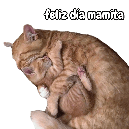 Día de la madre🌹un pack raro😶 20