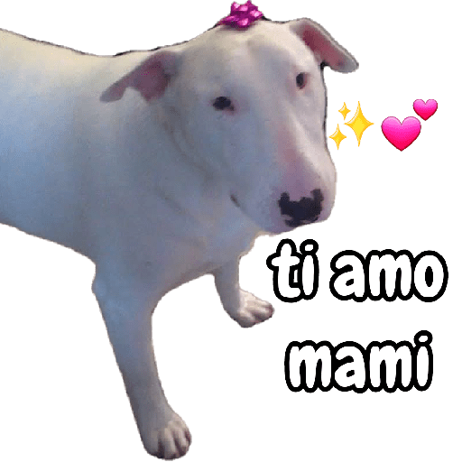 Día de la madre🌹un pack raro😶 8