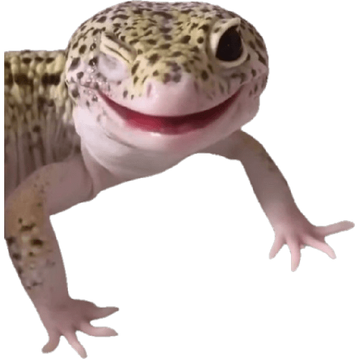 สติกเกอร์