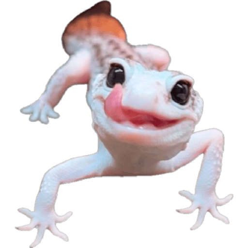 สติกเกอร์