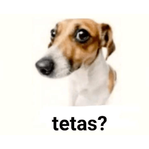 Yucatecos 4