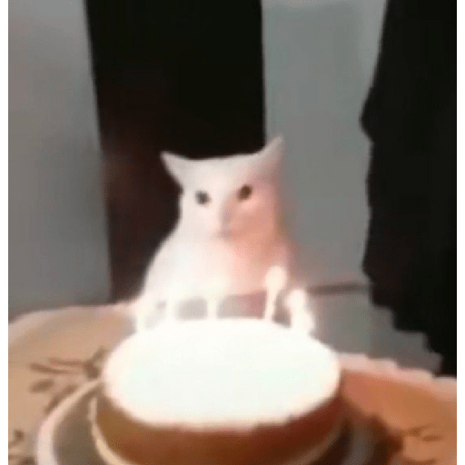 Que 12