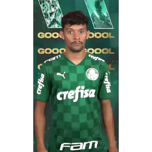 GOLS DO PALMEIRAS (VERDE)