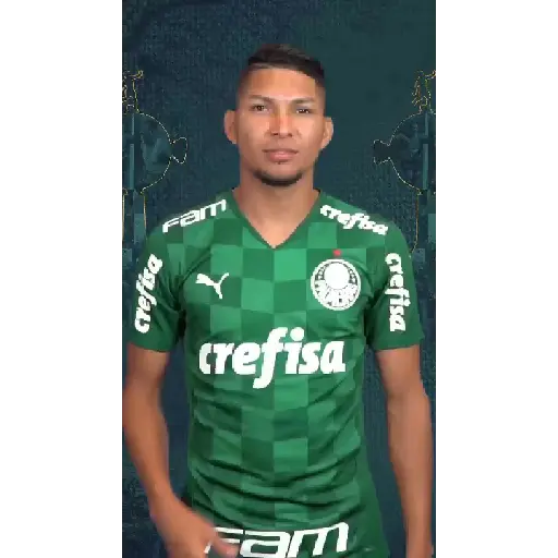 GOLS DO PALMEIRAS (VERDE) 5