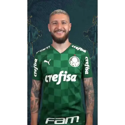 GOLS DO PALMEIRAS (VERDE) 9