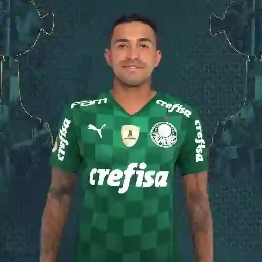 GOLS DO PALMEIRAS (VERDE) 13