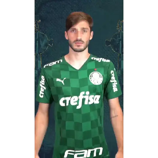 GOLS DO PALMEIRAS (VERDE) 8