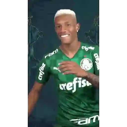 GOLS DO PALMEIRAS (VERDE) 2