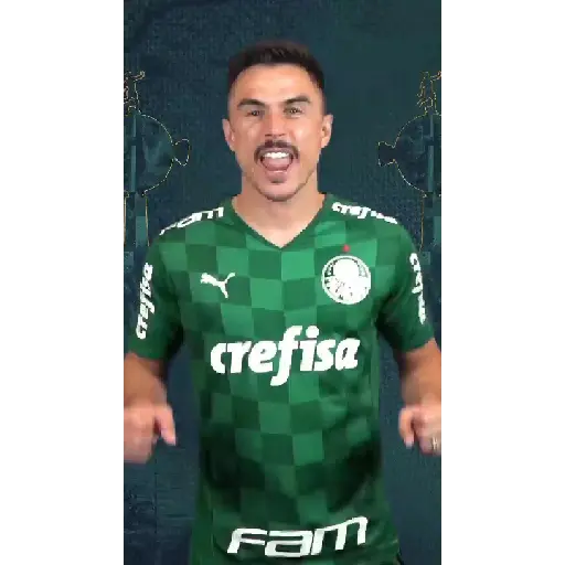 GOLS DO PALMEIRAS (VERDE) 11
