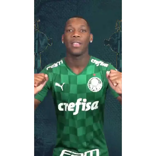 GOLS DO PALMEIRAS (VERDE) 6