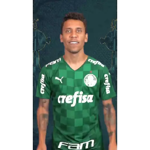 GOLS DO PALMEIRAS (VERDE) 12