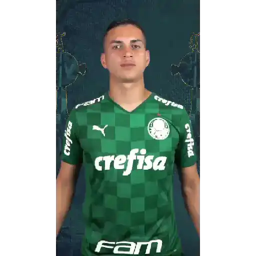 GOLS DO PALMEIRAS (VERDE) 4