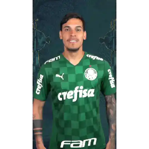 GOLS DO PALMEIRAS (VERDE) 10