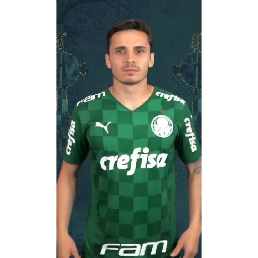 GOLS DO PALMEIRAS (VERDE) 3