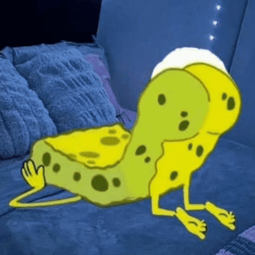 Perro 19