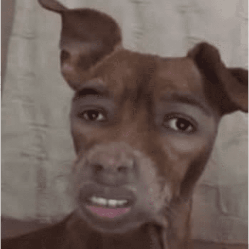 Perro 8