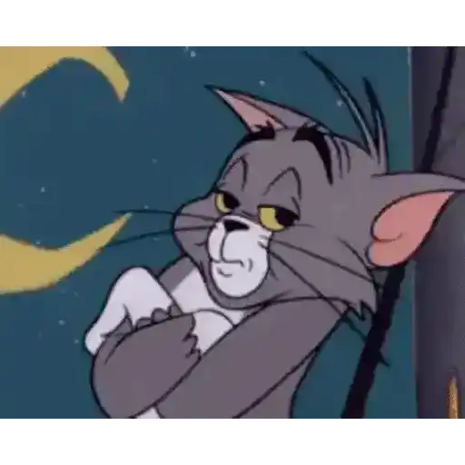 Tom 🥰 and Jerry 💜 21