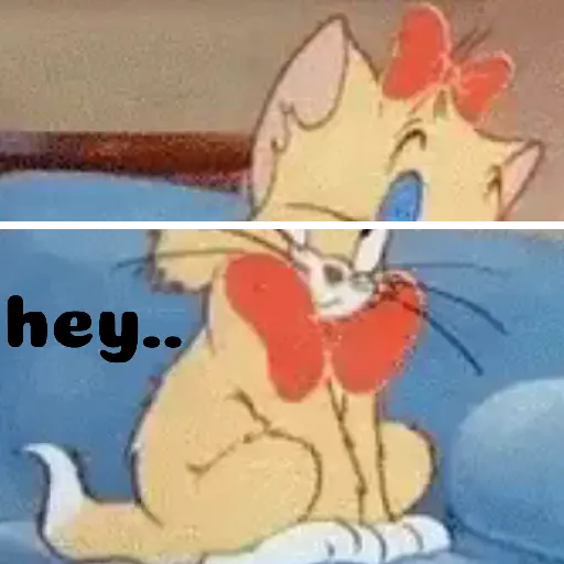Tom 🥰 and Jerry 💜 30