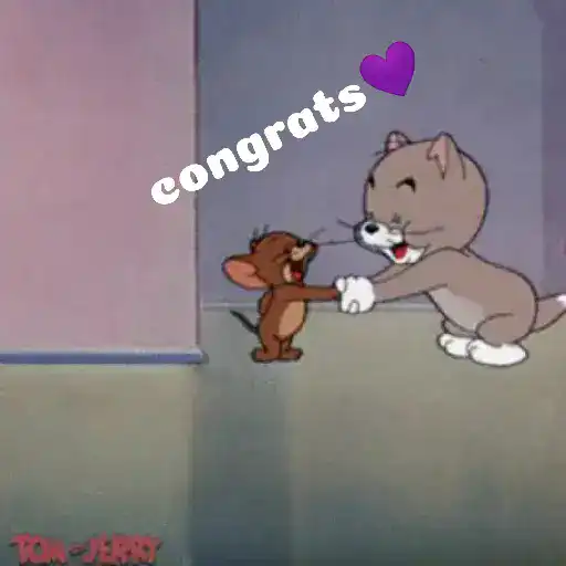 Tom 🥰 and Jerry 💜 14