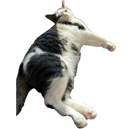 Stickers 17