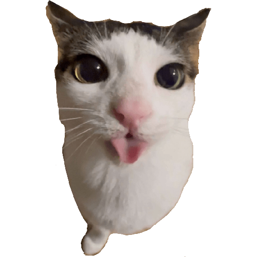 Stickers 19