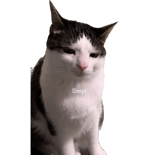 Stickers 18