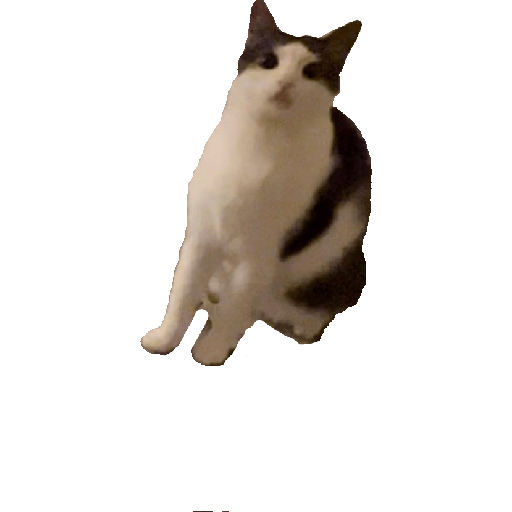 Stickers 21