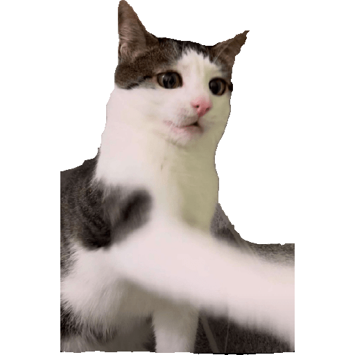 Stickers 20