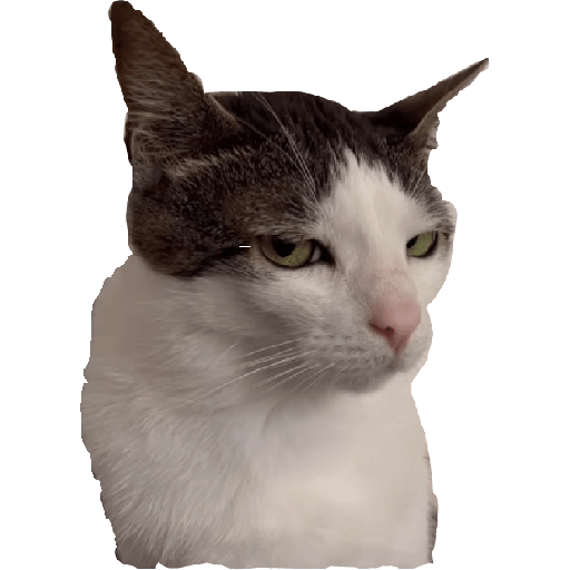 Stickers 6
