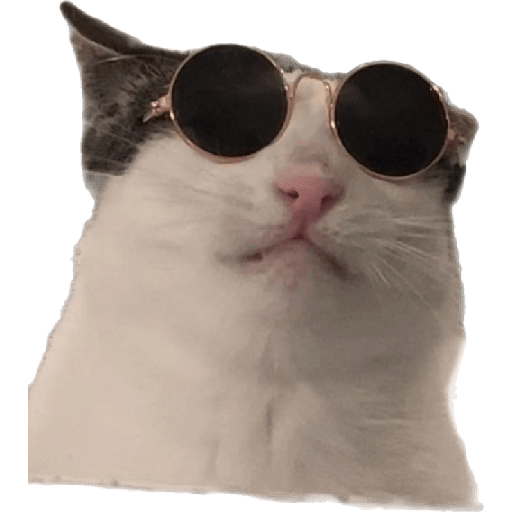 Stickers 29