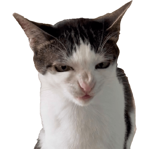 Stickers 9