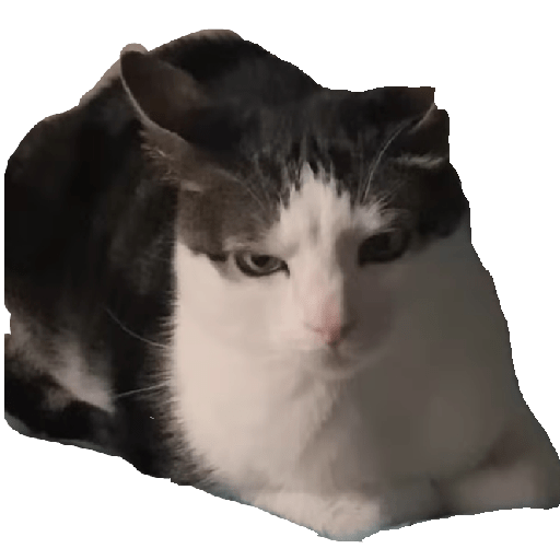 Stickers 13