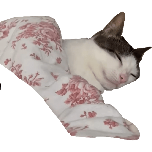 Stickers 15